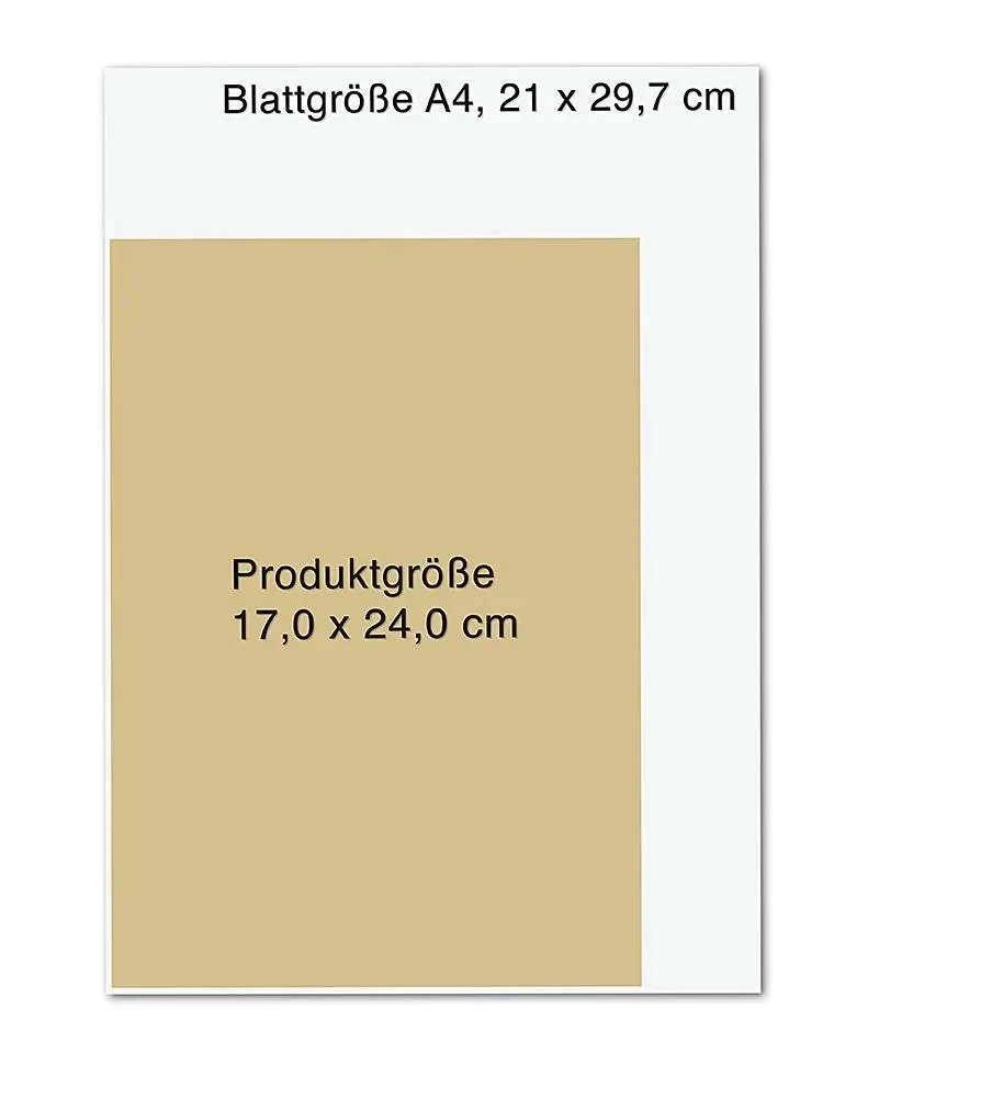 Bild: 9783426659007 | Wissen, was stärkt | Dr. Johanna Budwig-Stiftung | Taschenbuch | 2022