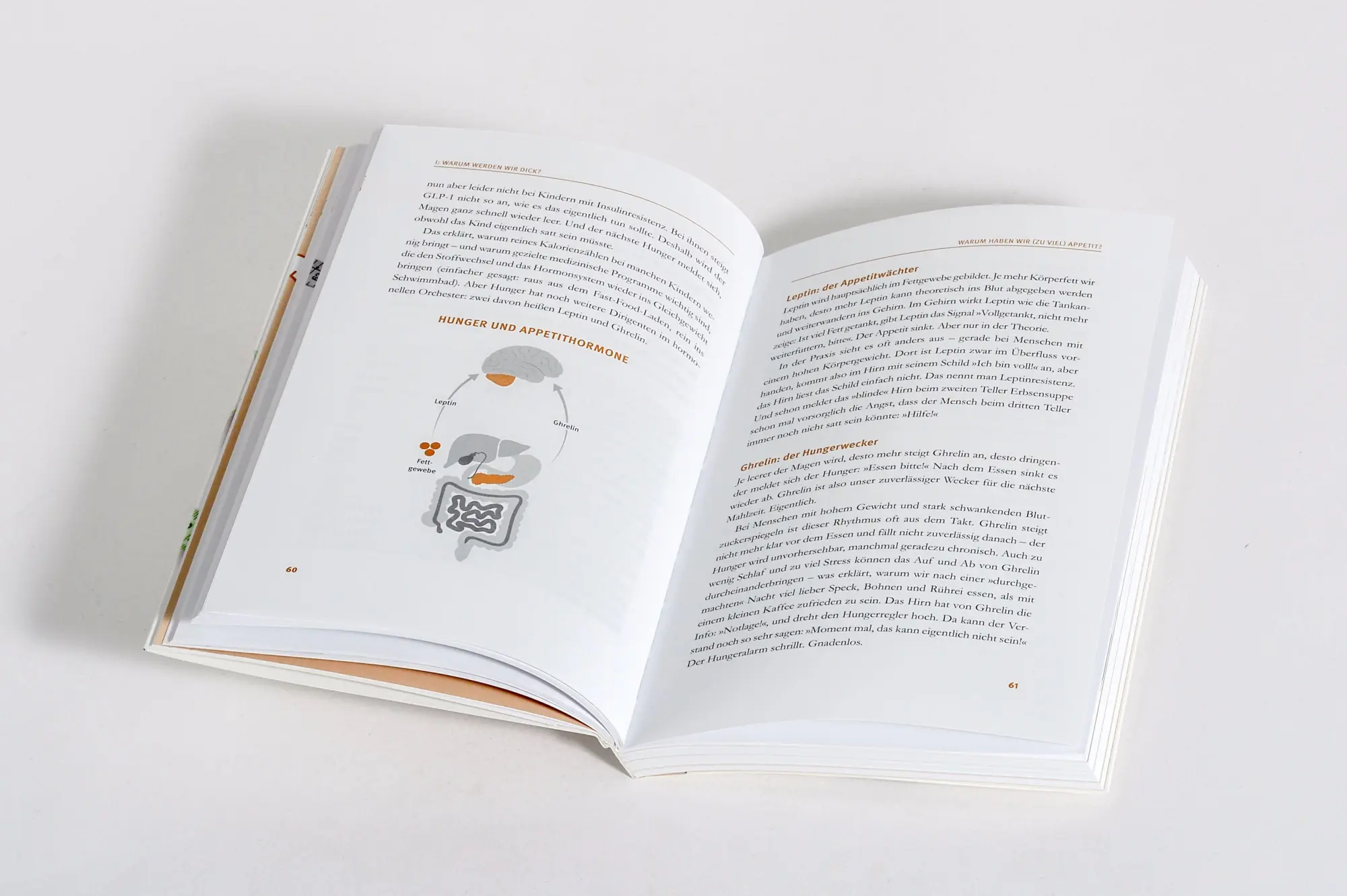 Bild: 9783453219007 | Das Speck-weg-Buch | Ulrich Strunz | Taschenbuch | 224 S. | Deutsch