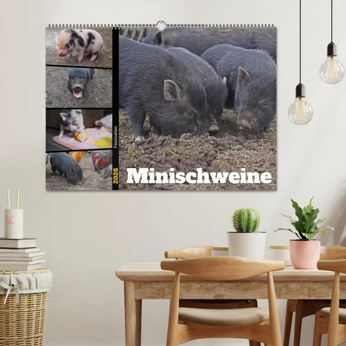 Bild: 9783457589007 | Faszination Minischweine (Wandkalender 2026 DIN A2 quer), CALVENDO...