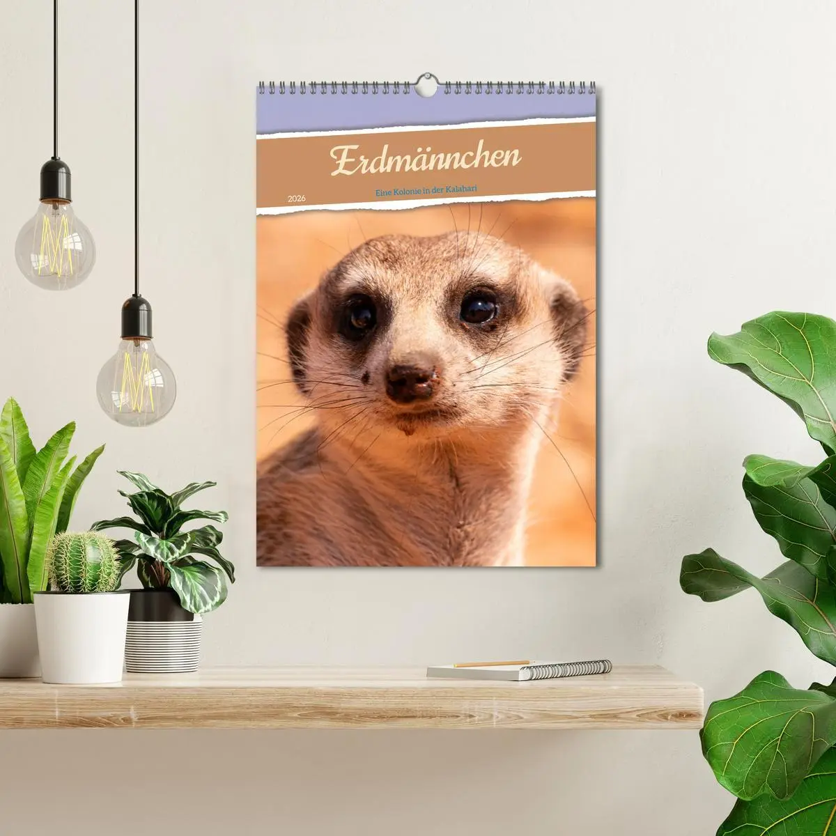 Bild: 9783516299007 | Erdmännchen - Eine Kolonie in der Kalahari (Wandkalender 2026 DIN...