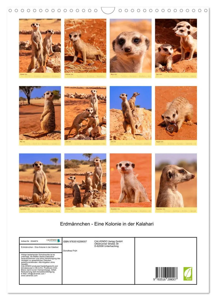Bild: 9783516299007 | Erdmännchen - Eine Kolonie in der Kalahari (Wandkalender 2026 DIN...