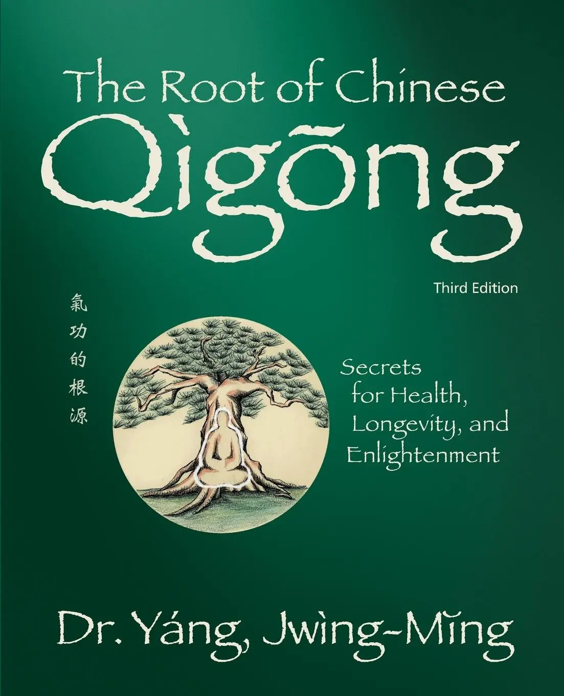 Cover: 9781594399107 | The Root of Chinese Qigong 3rd. Ed. | Jwing-Ming Yang | Taschenbuch