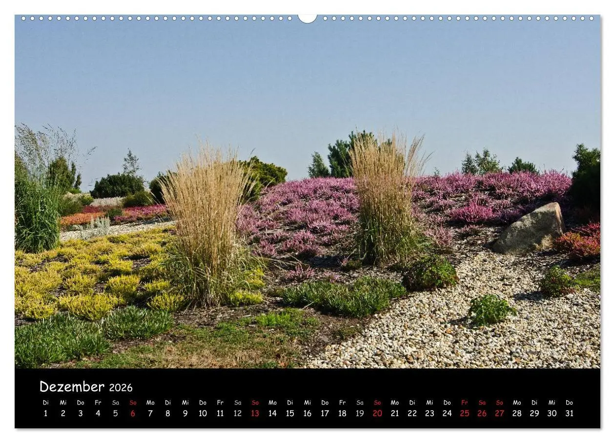 Bild: 9783516119107 | Findlingspark Nochten 2026 (hochwertiger Premium Wandkalender 2026...