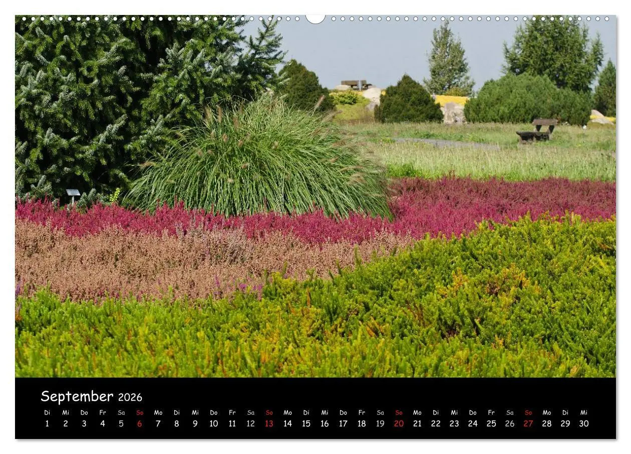 Bild: 9783516119107 | Findlingspark Nochten 2026 (hochwertiger Premium Wandkalender 2026...