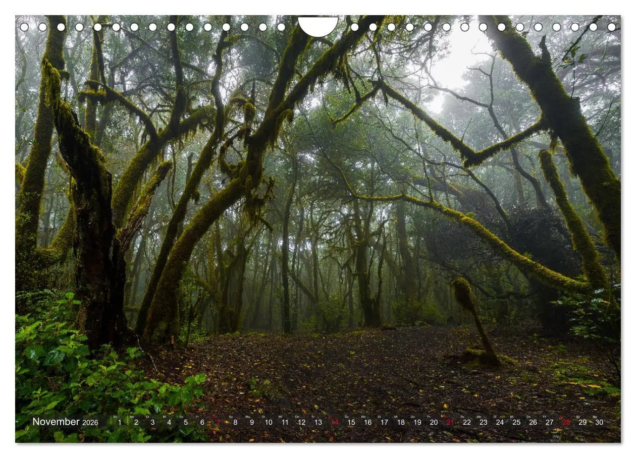 Bild: 9783457879207 | La Isla de La Gomera - Wilde Schönheit im Atlantik (Wandkalender...