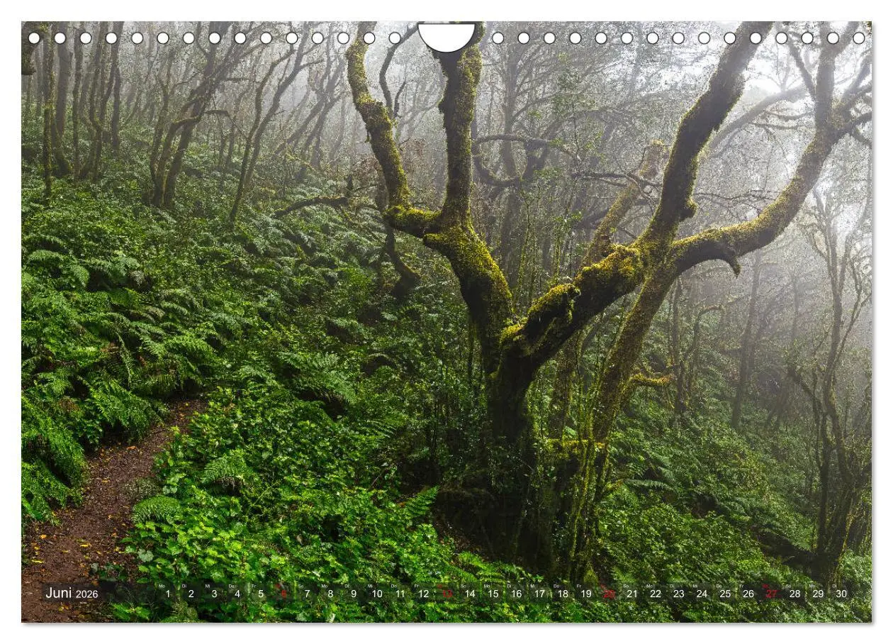 Bild: 9783457879207 | La Isla de La Gomera - Wilde Schönheit im Atlantik (Wandkalender...