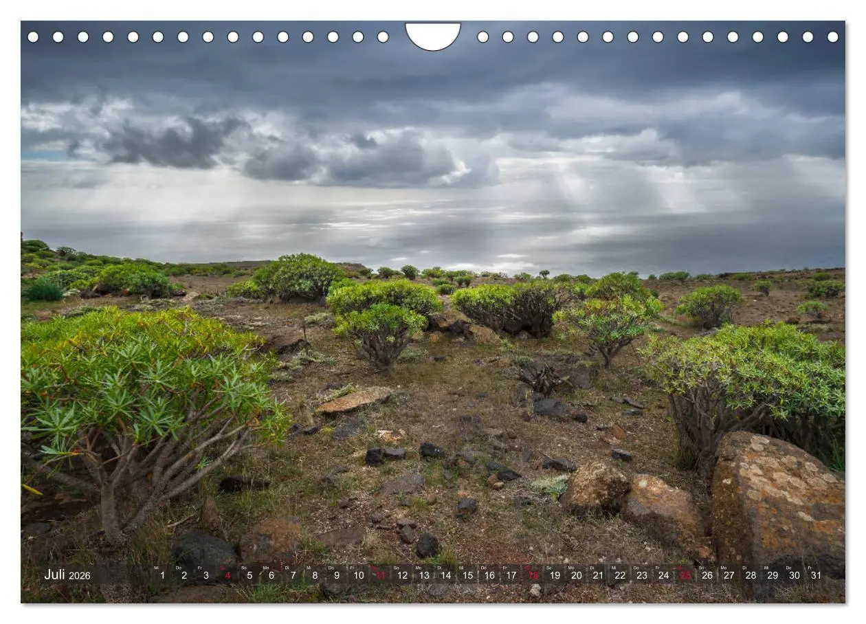 Bild: 9783457879207 | La Isla de La Gomera - Wilde Schönheit im Atlantik (Wandkalender...