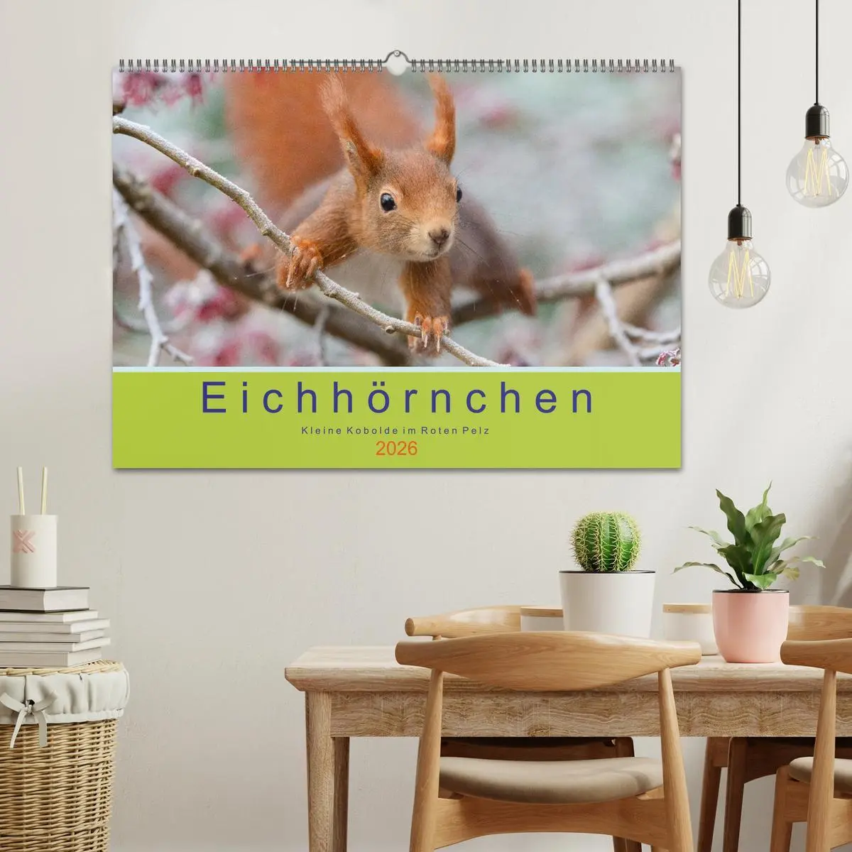 Bild: 9783516039207 | Eichhörnchen - Kleine Kobolde im Roten Pelz (Wandkalender 2026 DIN...