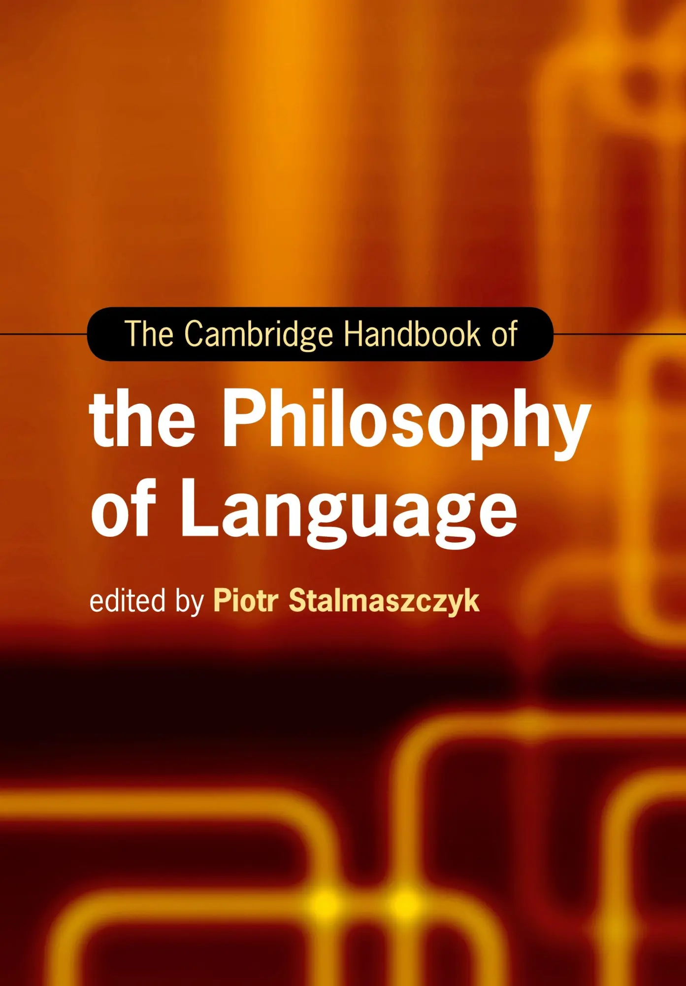 Cover: 9781108729307 | The Cambridge Handbook of the Philosophy of Language | Stalmaszczyk