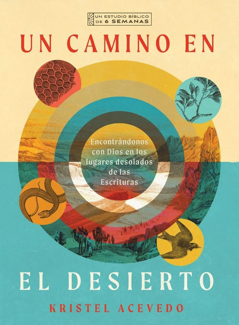 Cover: 9781514009307 | Un camino en el desierto | Kristel Acevedo | Taschenbuch | Spanisch