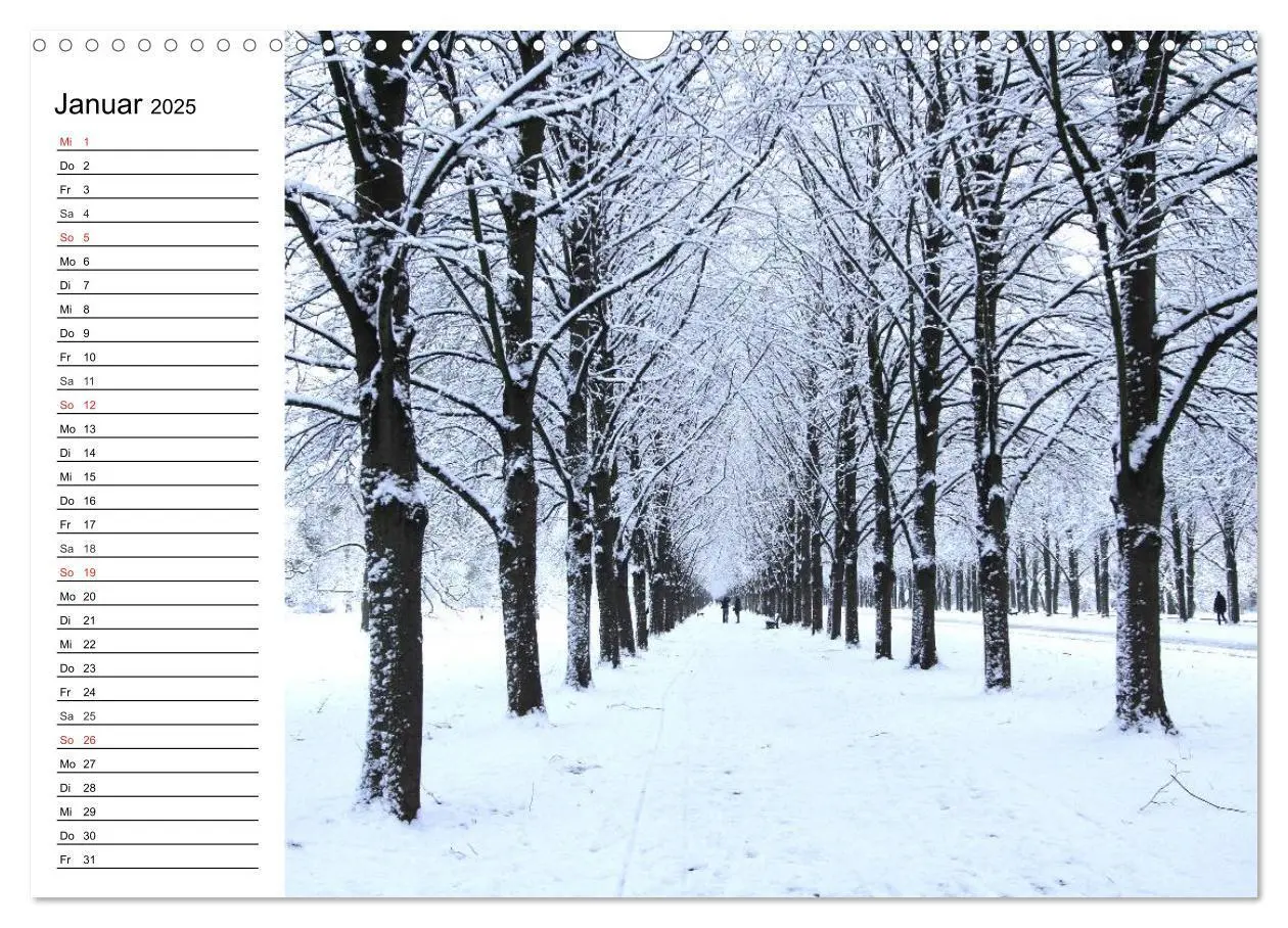 Bild: 9783435539307 | Hannover erleben (Wandkalender 2025 DIN A3 quer), CALVENDO...