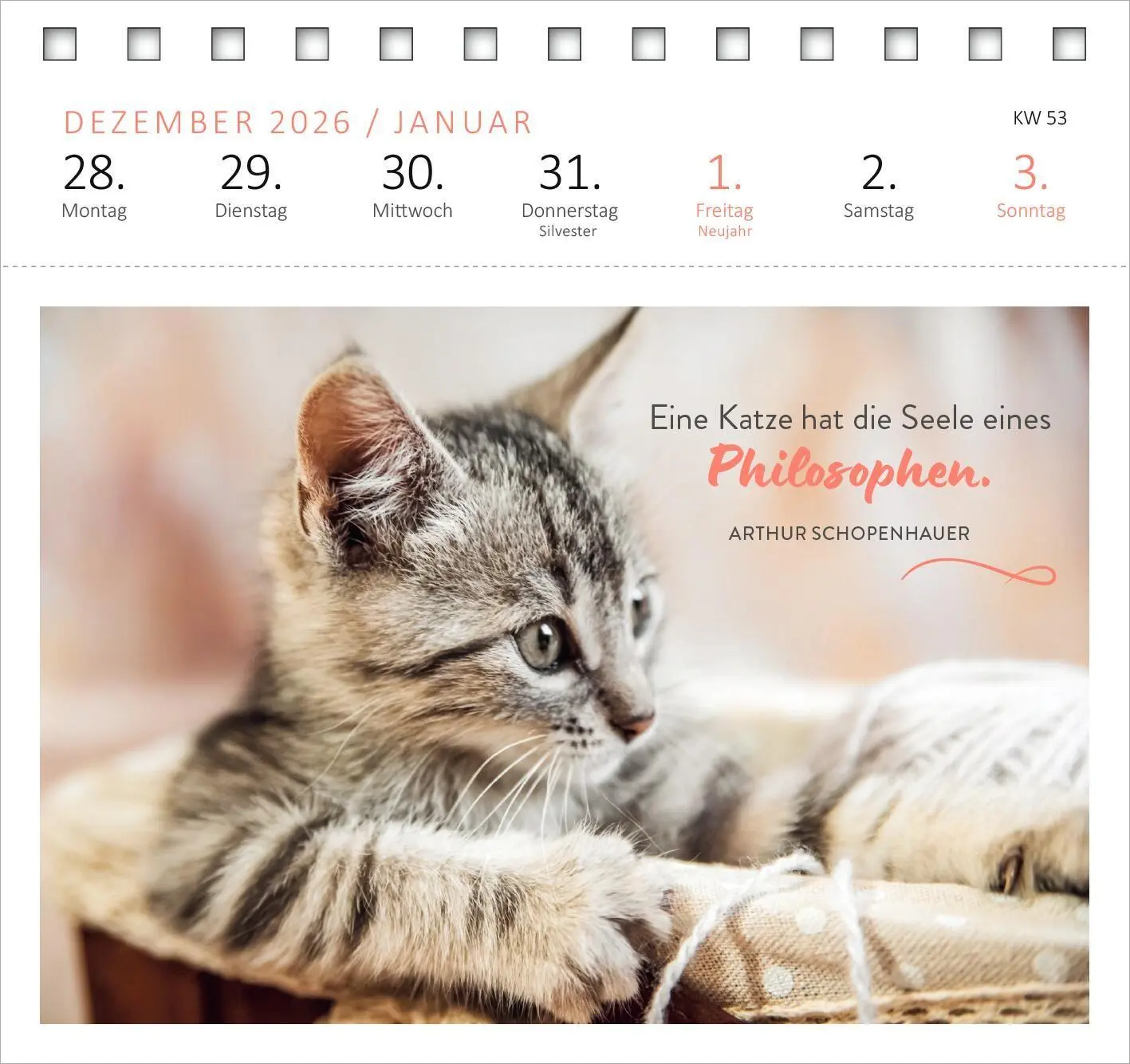 Bild: 4014489139607 | Postkartenkalender Katzenweisheiten 2027 | Kalender | Spiralaufsteller