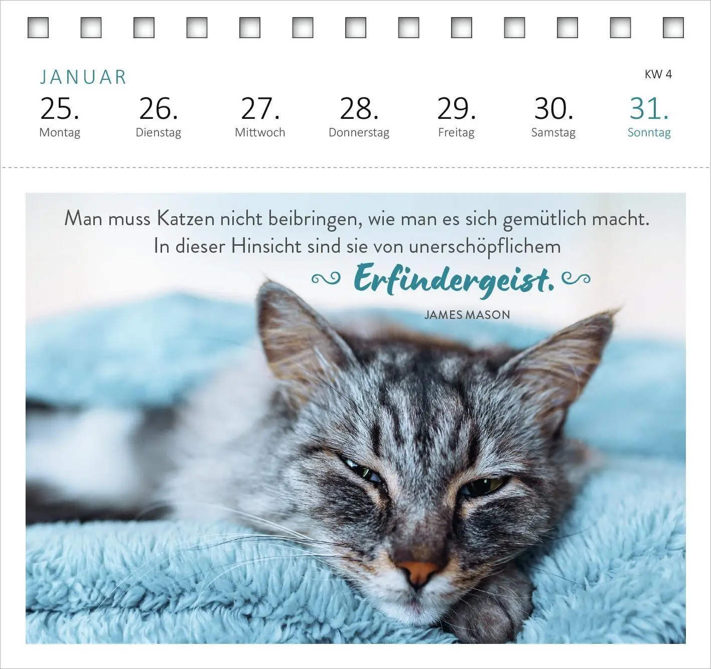 Bild: 4014489139607 | Postkartenkalender Katzenweisheiten 2027 | Kalender | Spiralaufsteller