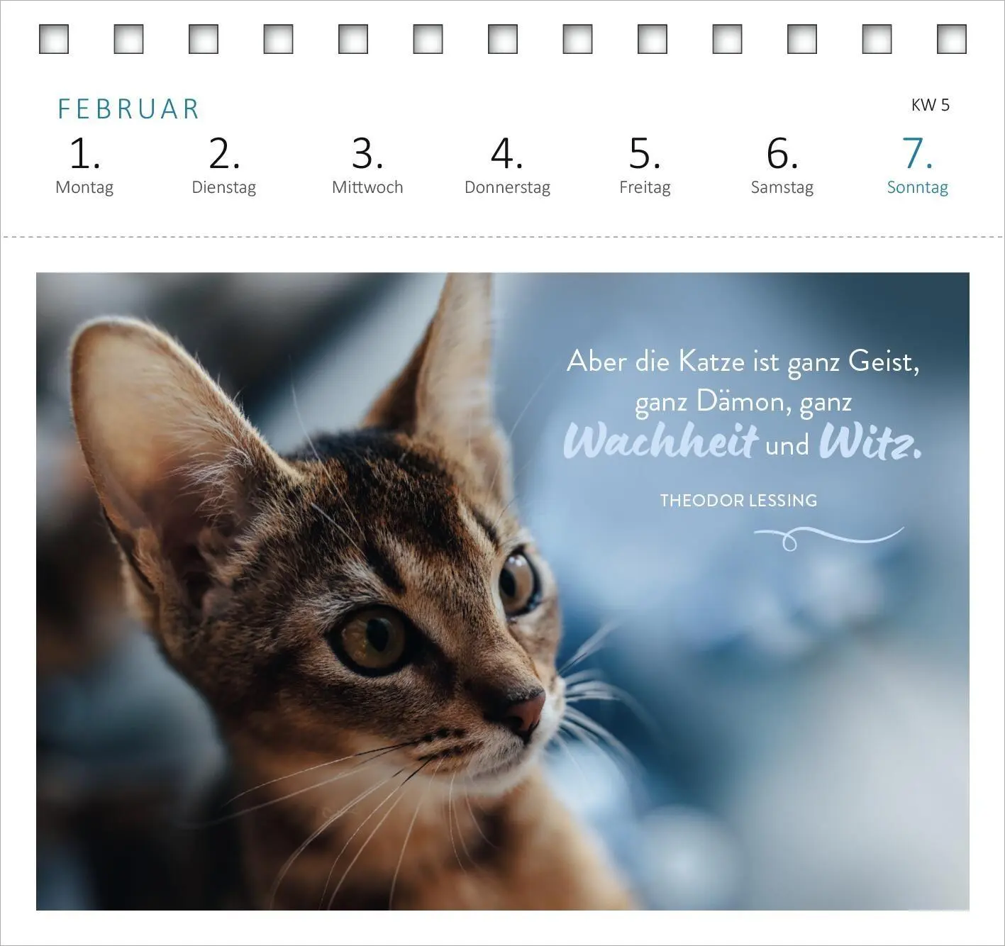 Bild: 4014489139607 | Postkartenkalender Katzenweisheiten 2027 | Kalender | Spiralaufsteller