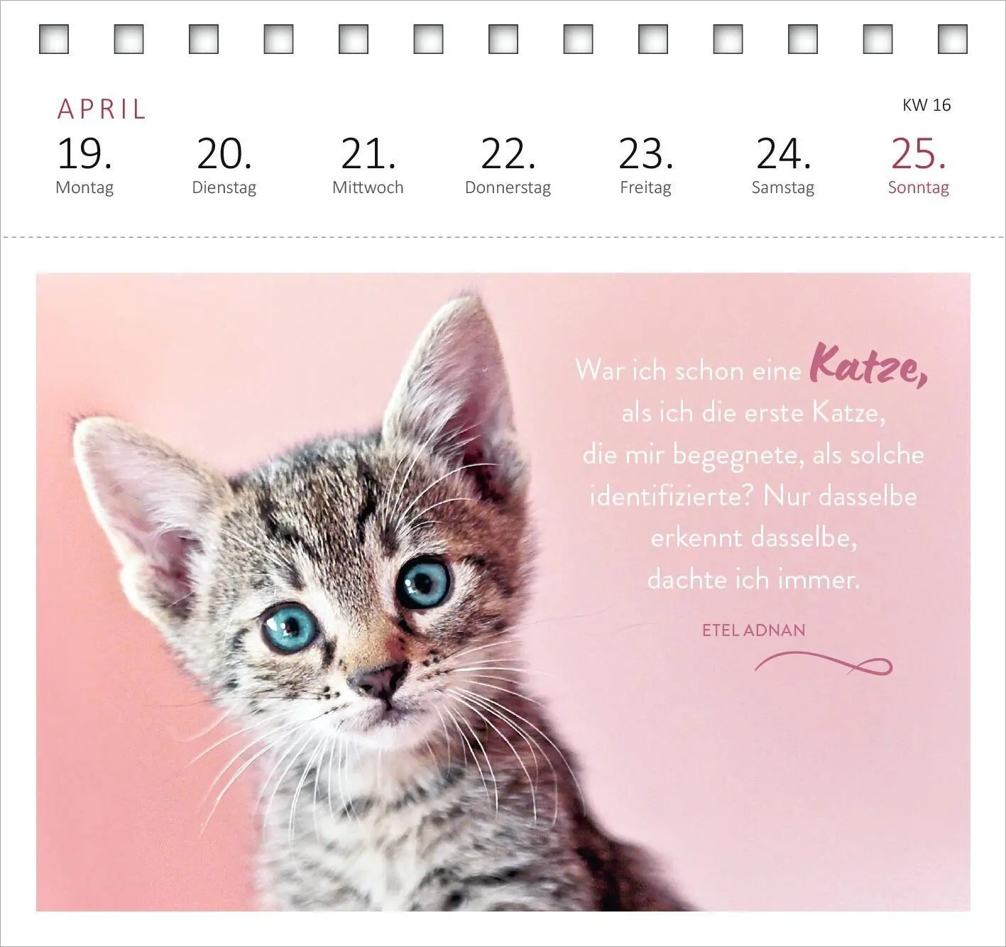 Bild: 4014489139607 | Postkartenkalender Katzenweisheiten 2027 | Kalender | Spiralaufsteller