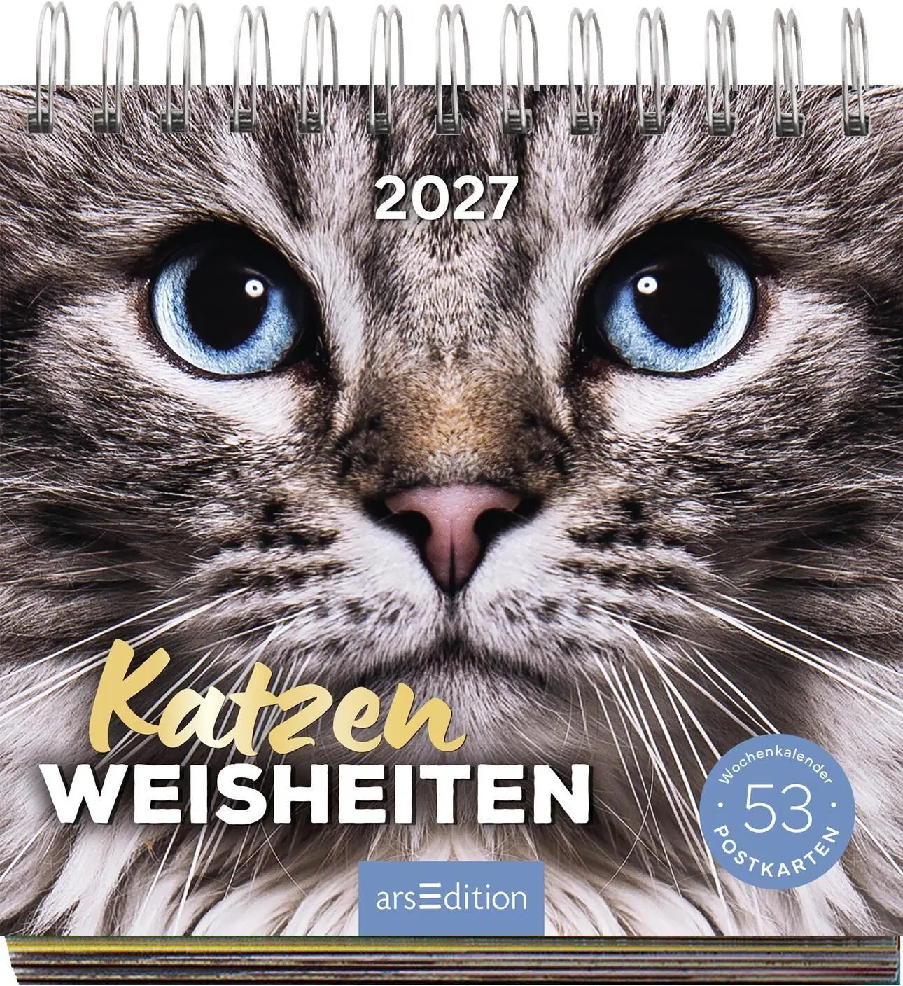 Bild: 4014489139607 | Postkartenkalender Katzenweisheiten 2027 | Kalender | Spiralaufsteller