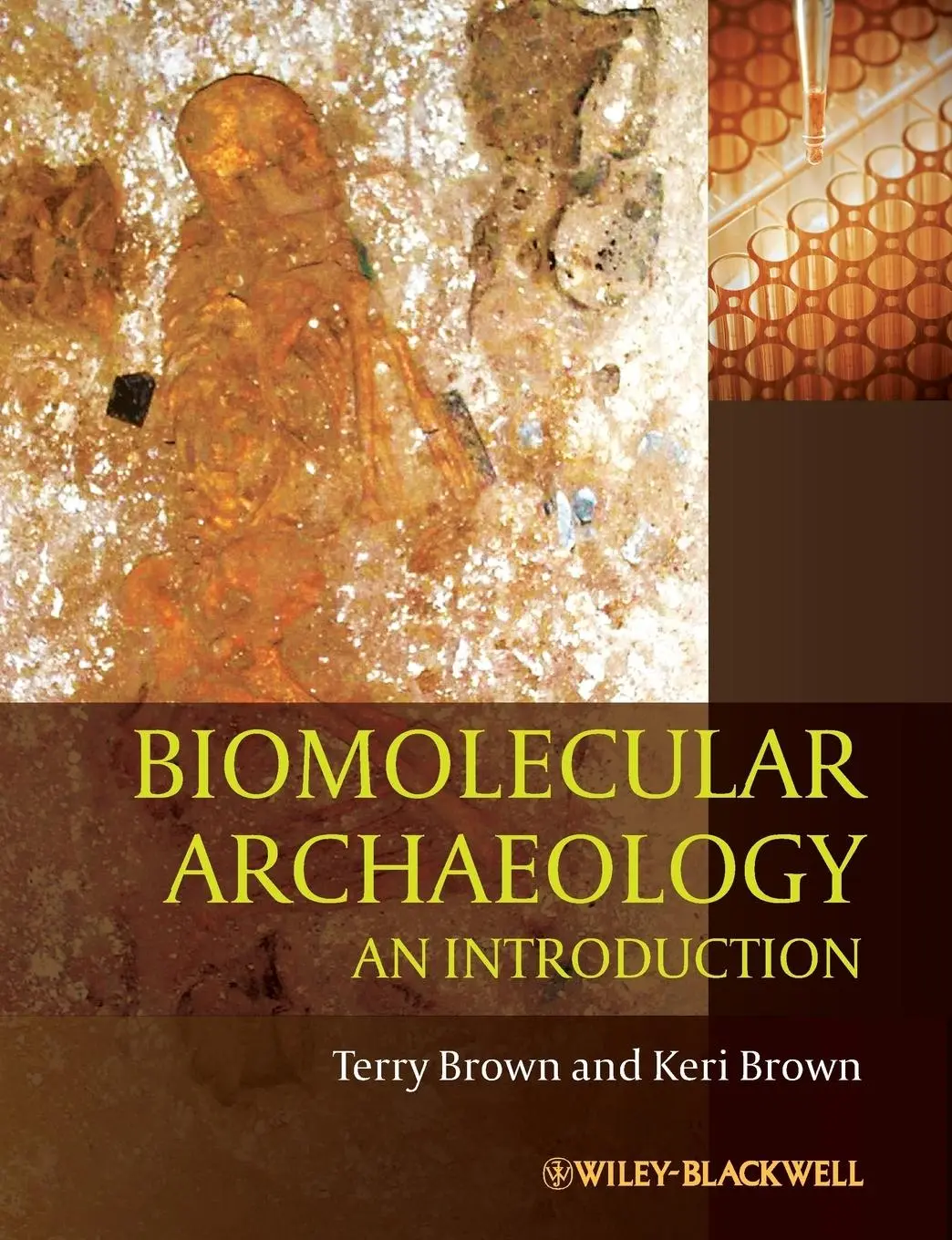 Cover: 9781405179607 | Biomolecular Archaeology | An Introduction | T A Brown (u. a.) | Buch