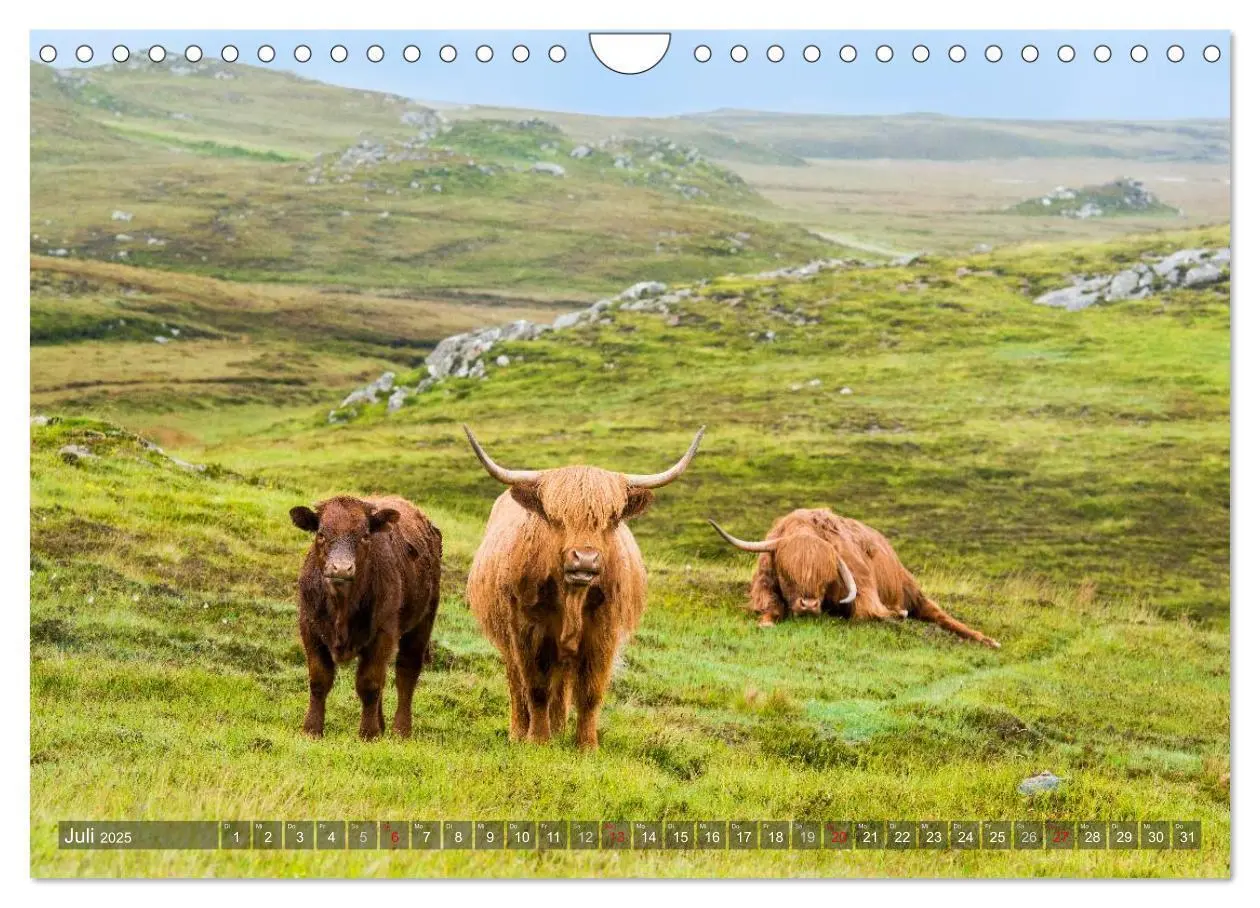 Bild: 9783435679607 | Quer durch Schottland (Wandkalender 2025 DIN A4 quer), CALVENDO...
