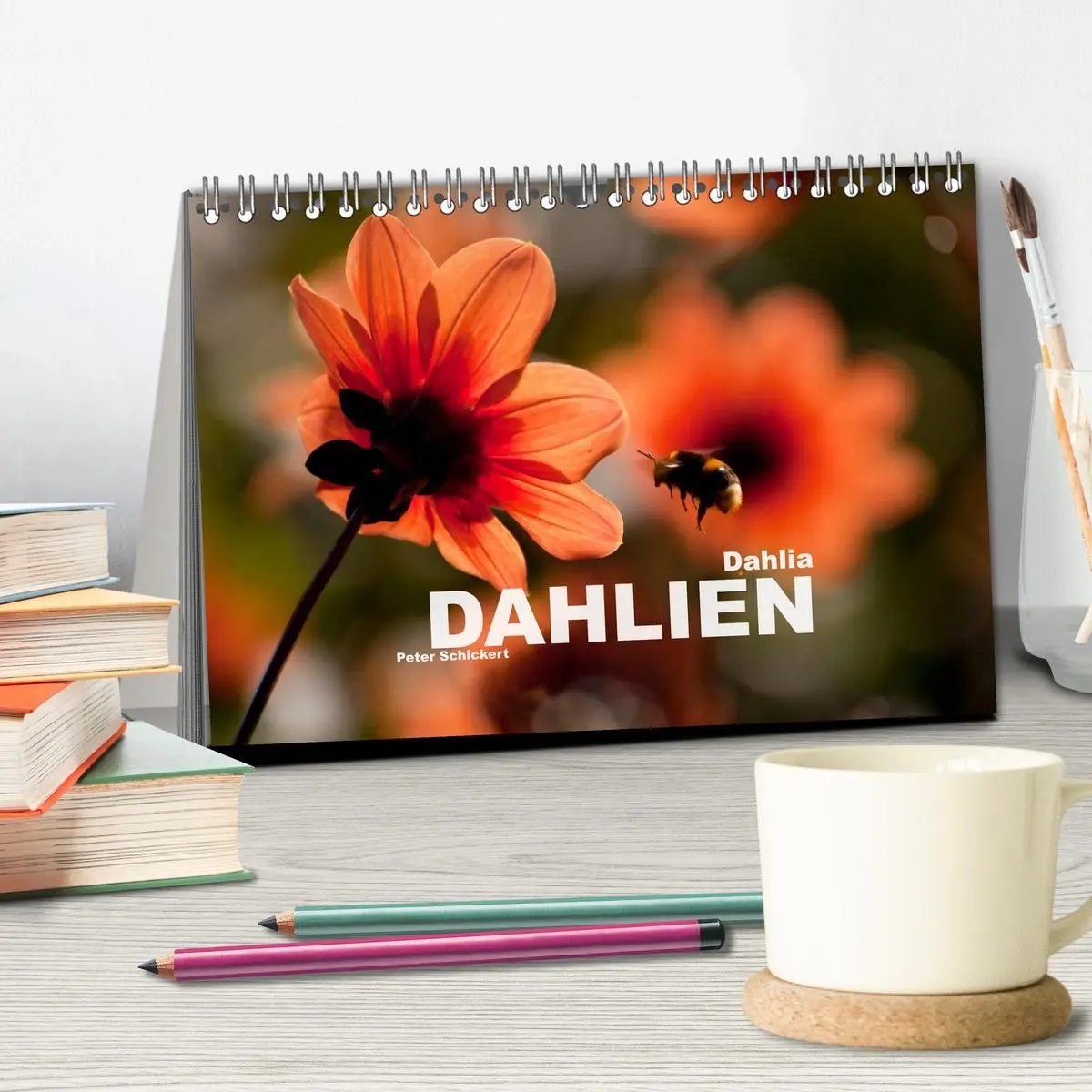 Bild: 9783516099607 | Dahlia - Dahlien (Tischkalender 2026 DIN A5 quer), CALVENDO...