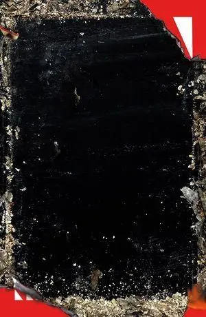 Cover: 9780811239707 | Baron Wenckheim's Homecoming | László Krasznahorkai | Taschenbuch