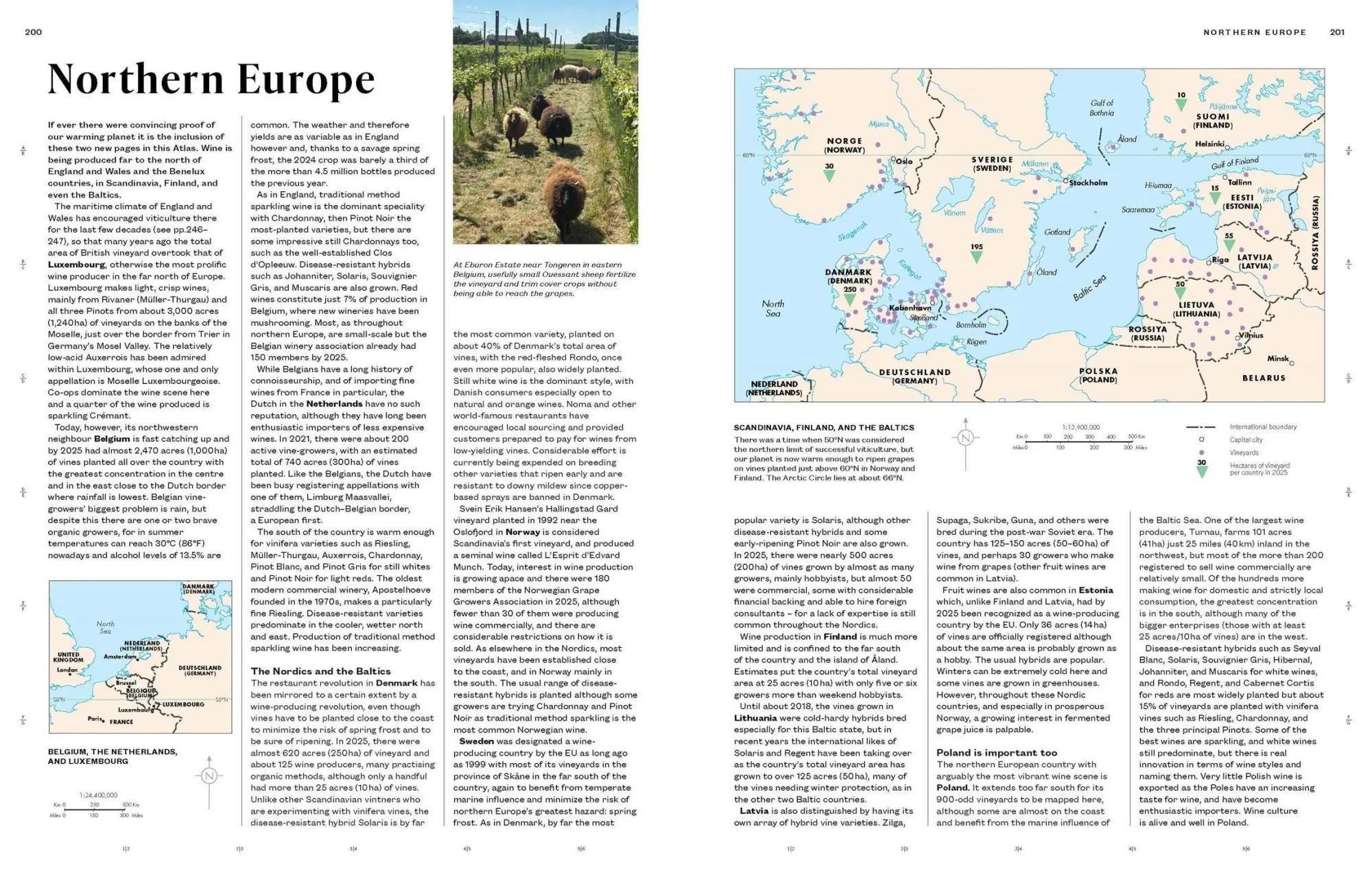 Bild: 9781784729707 | The World Atlas of Wine | Hugh Johnson (u. a.) | Buch | Englisch