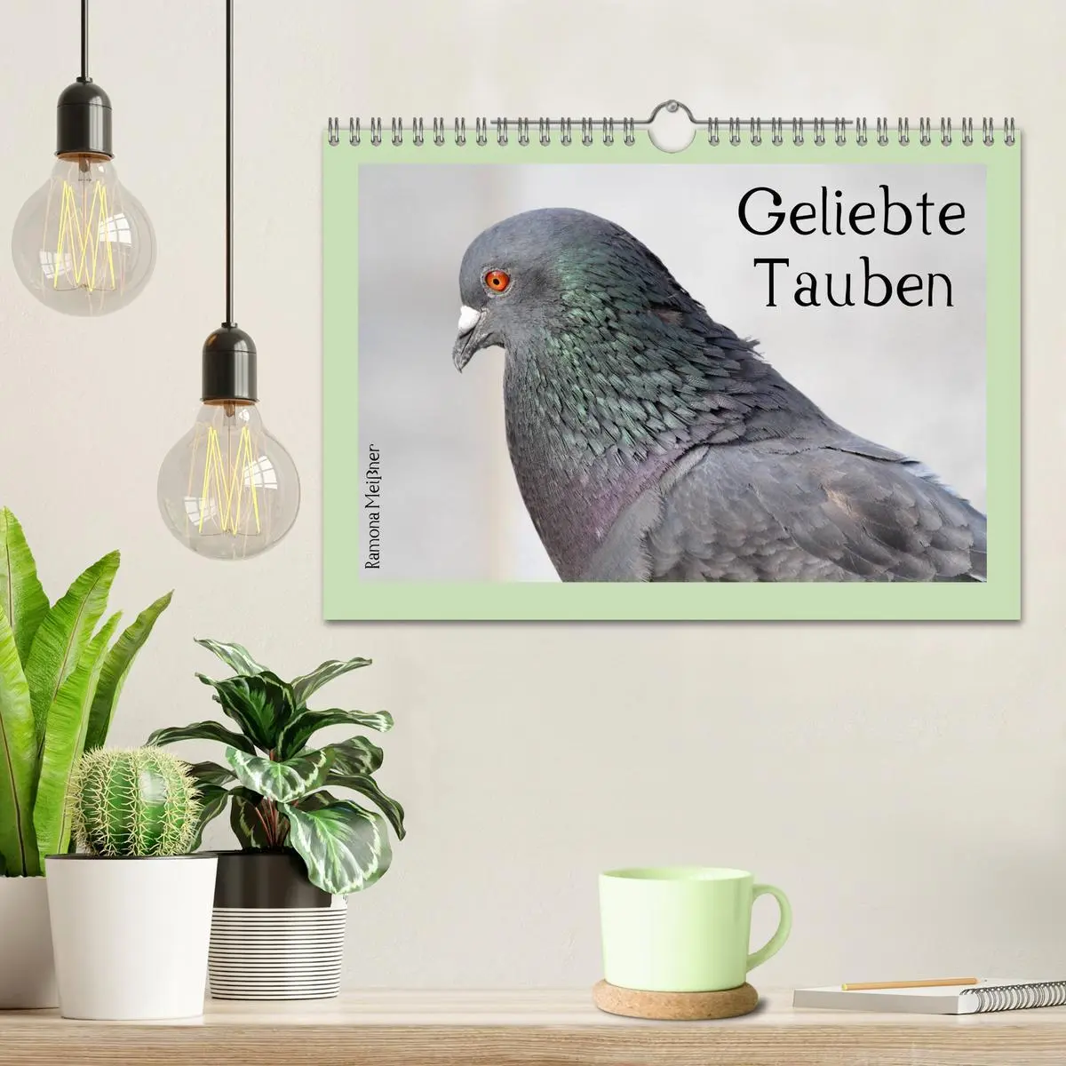 Bild: 9783516159707 | Geliebte Tauben (Wandkalender 2026 DIN A4 quer), CALVENDO...
