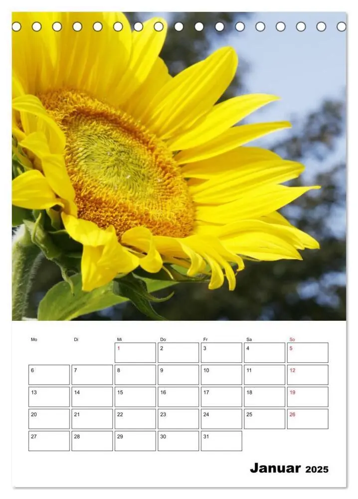 Bild: 9783435969807 | Leuchtende Sonnenblumen (Tischkalender 2025 DIN A5 hoch), CALVENDO...