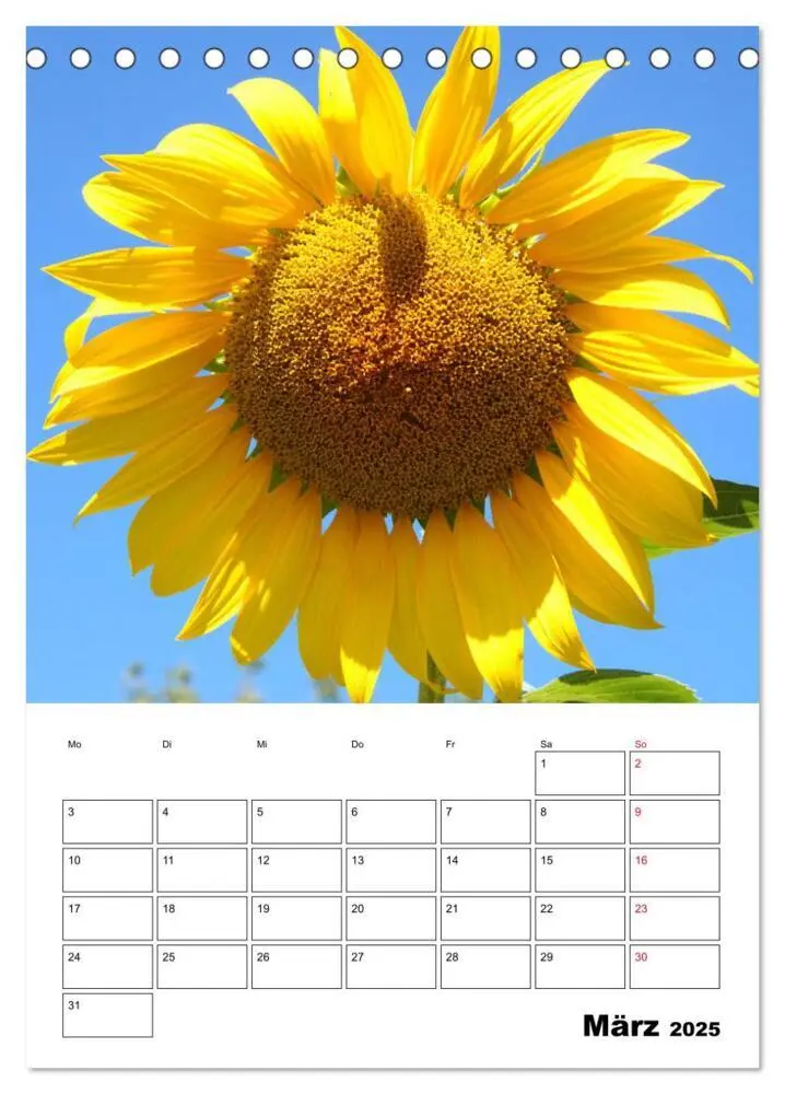 Bild: 9783435969807 | Leuchtende Sonnenblumen (Tischkalender 2025 DIN A5 hoch), CALVENDO...