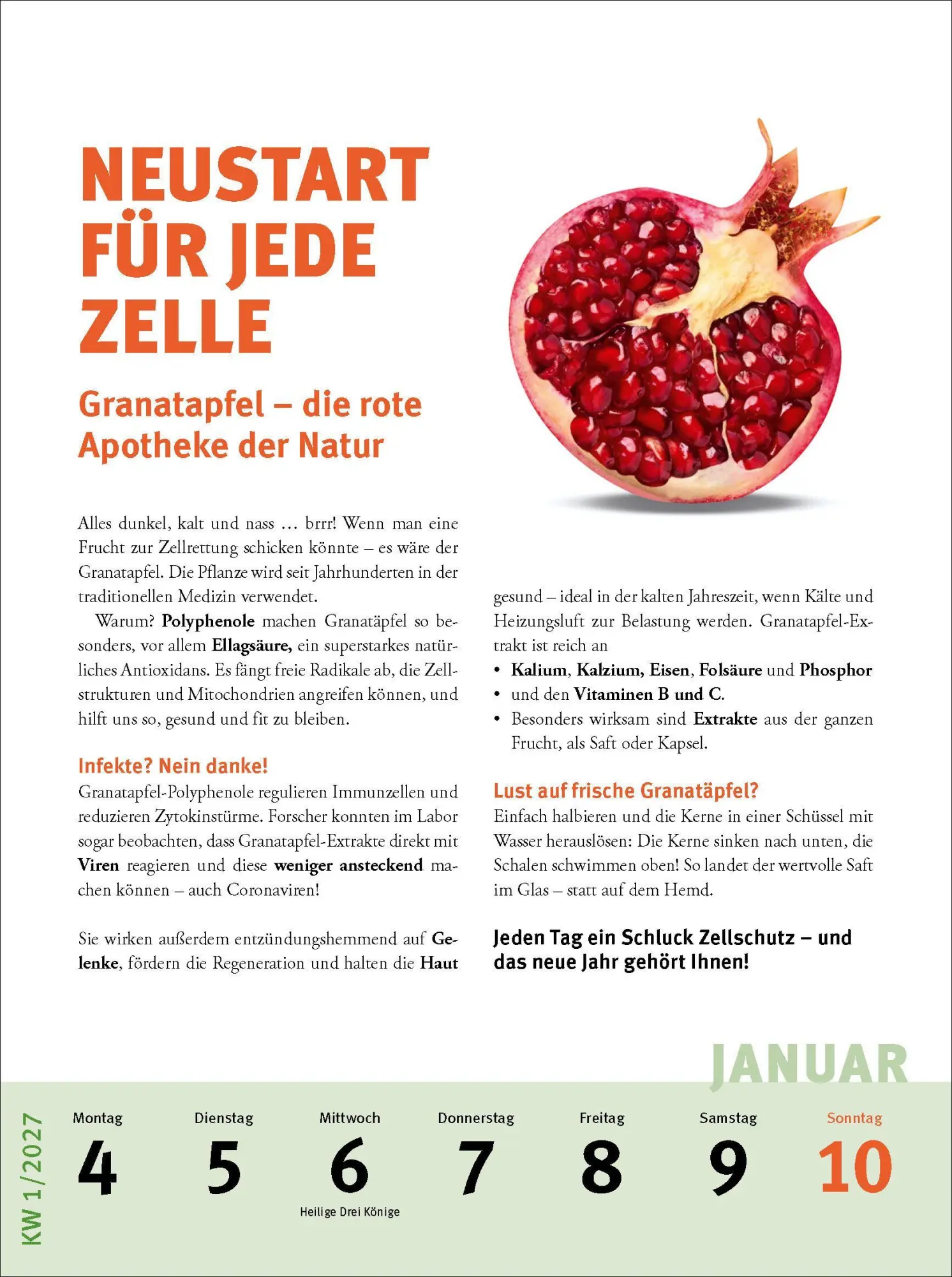 Bild: 9783453239807 | Fit und gesund durchs Jahr - Der Strunz-Wochenkalender 2027 | Strunz