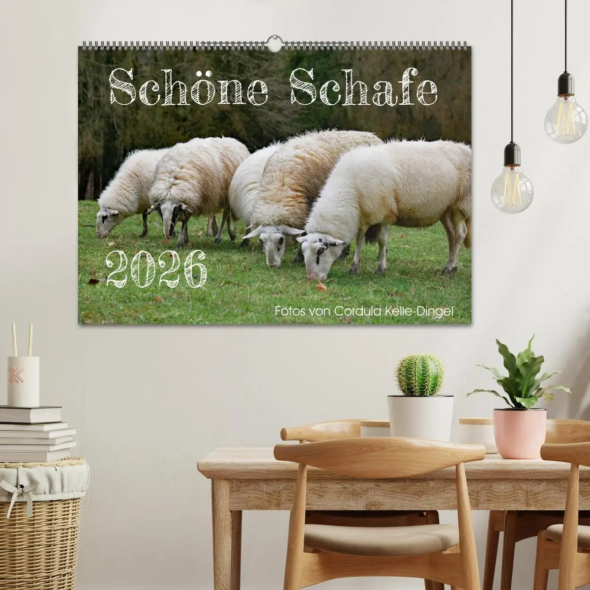Bild: 9783457739907 | Schöne Schafe (Wandkalender 2026 DIN A2 quer), CALVENDO Monatskalender