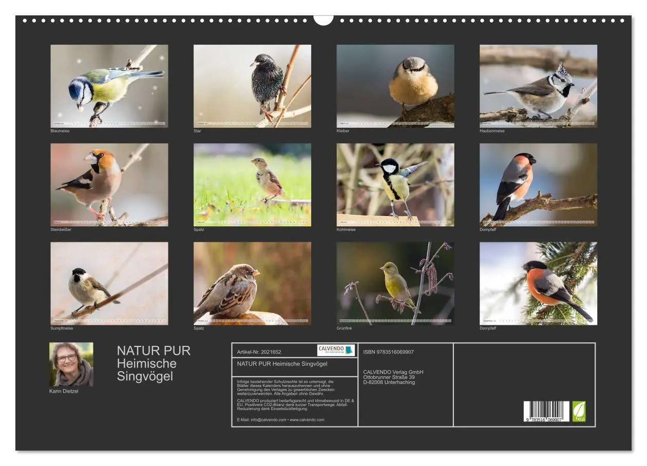 Bild: 9783516069907 | NATUR PUR Heimische Singvögel (Wandkalender 2026 DIN A2 quer),...