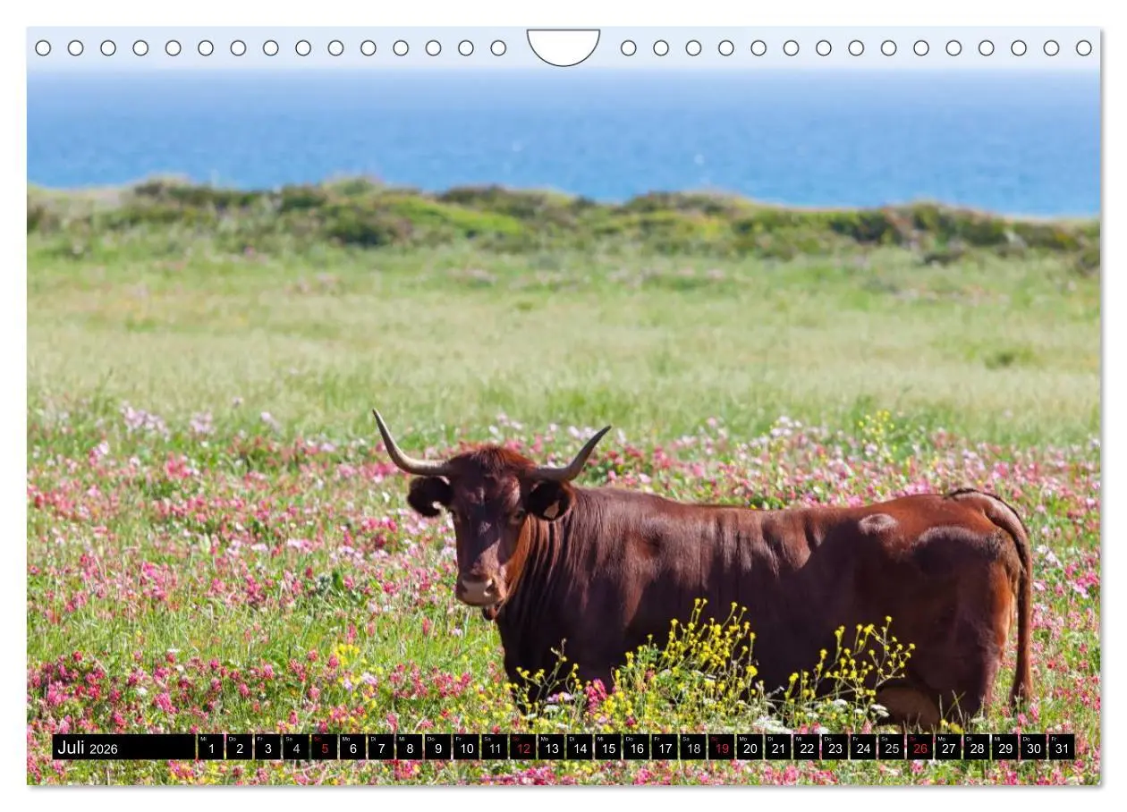 Bild: 9783516180008 | Farbenprächtiges Andalusien (Wandkalender 2026 DIN A4 quer),...