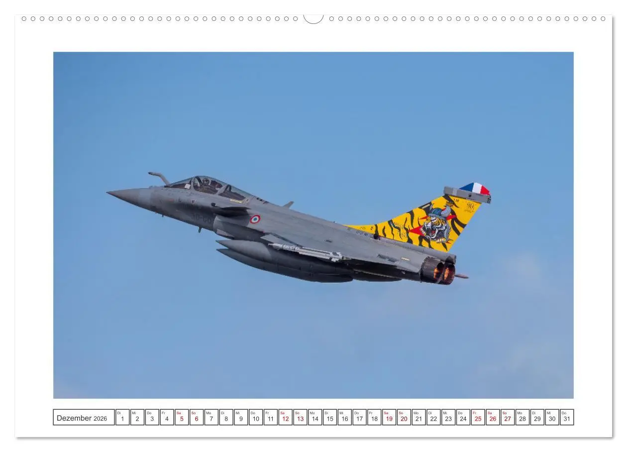 Bild: 9783457390108 | Tiger Meet Schleswig (hochwertiger Premium Wandkalender 2026 DIN A2...