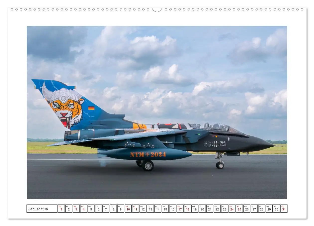 Bild: 9783457390108 | Tiger Meet Schleswig (hochwertiger Premium Wandkalender 2026 DIN A2...