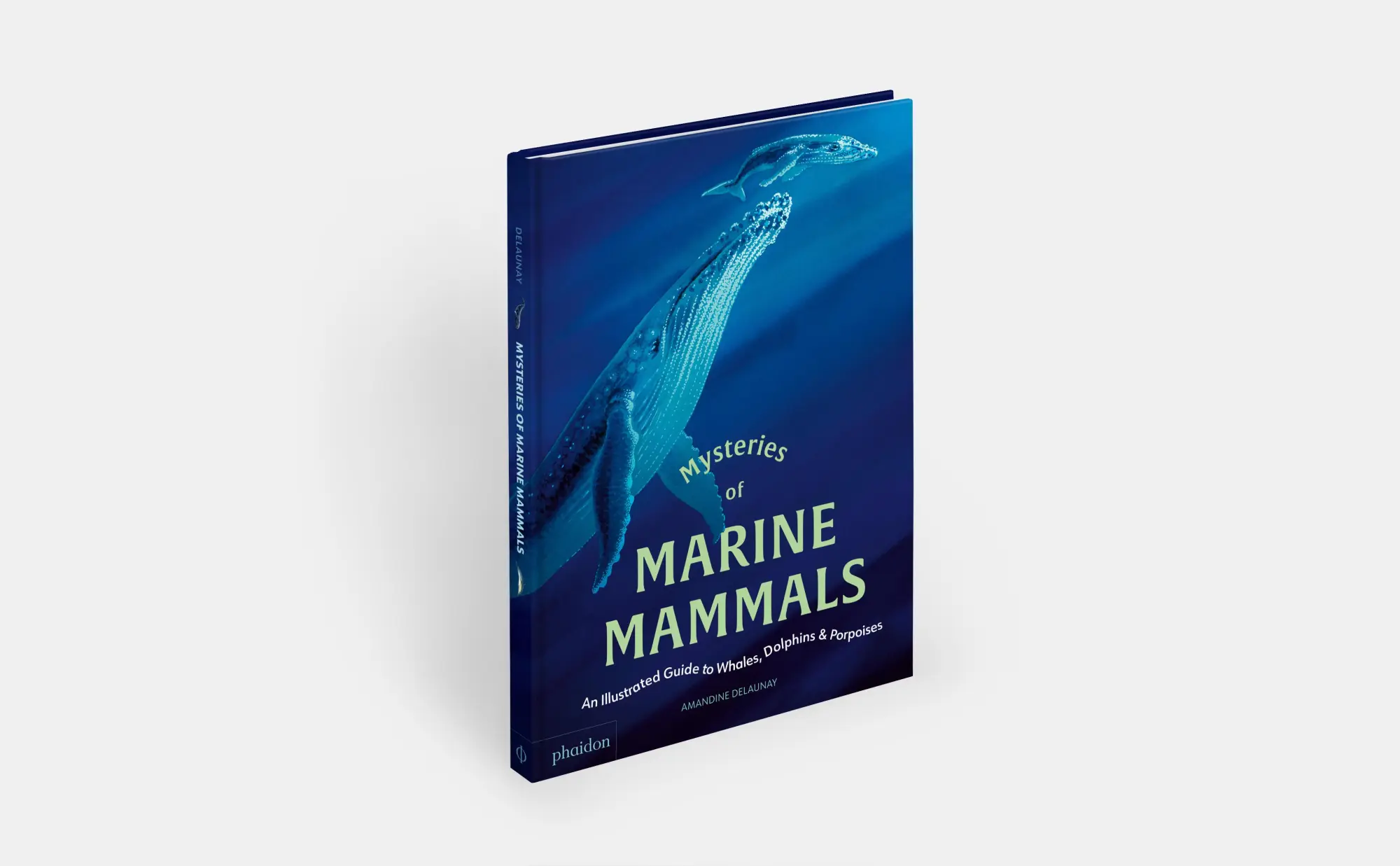 Bild: 9781837290208 | Mysteries of Marine Mammals | Amandine Delaunay | Buch | 48 S. | 2025