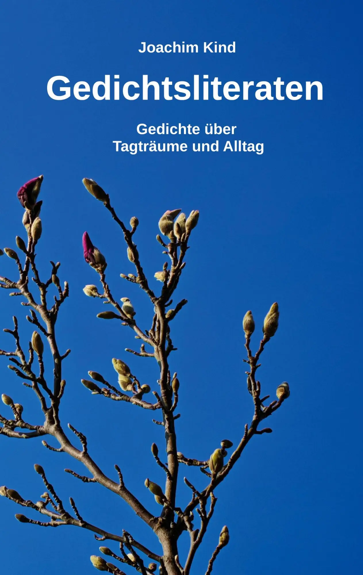 Cover: 9783758340208 | Gedichtsliteraten | Gedichte über Tagträume und Alltag | Joachim Kind