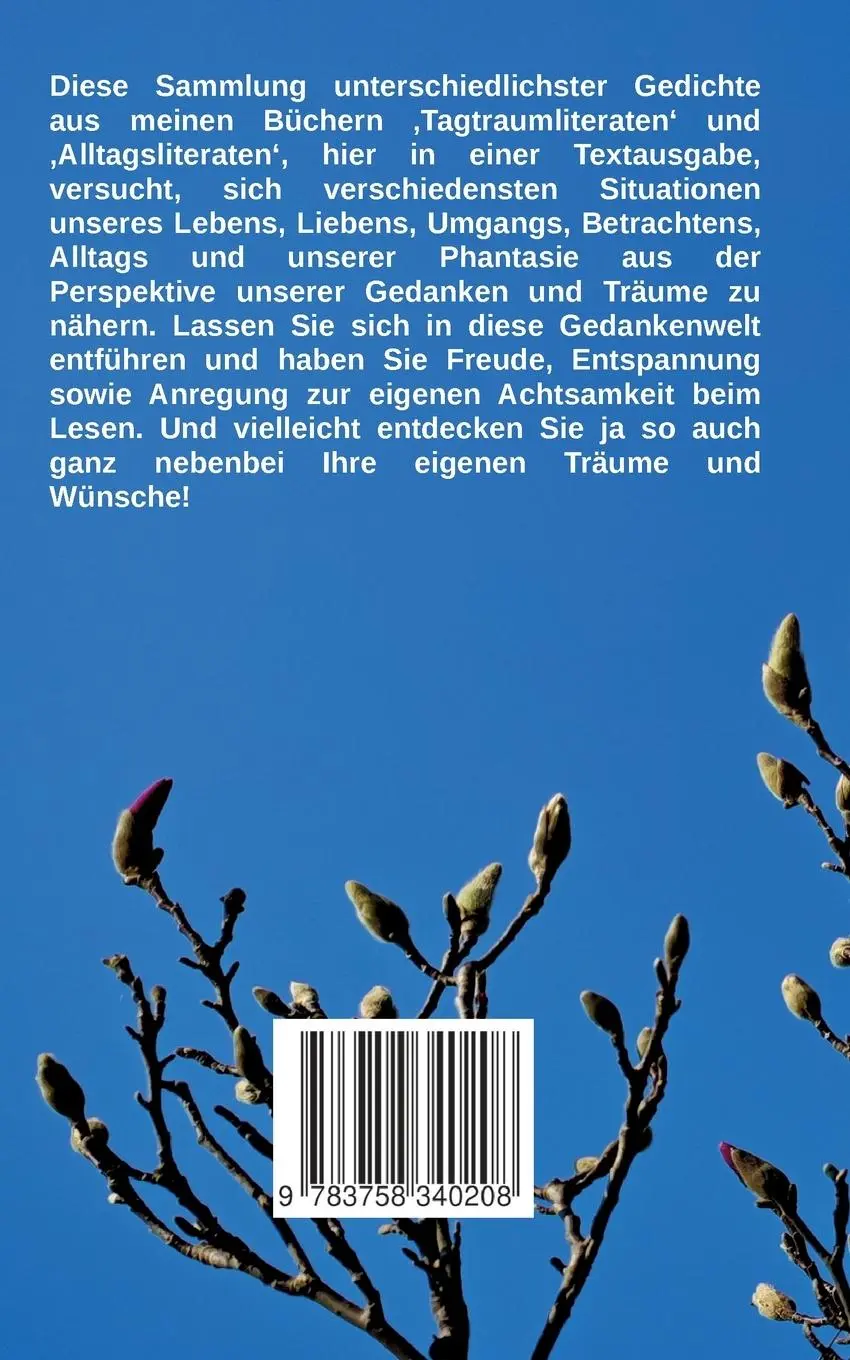 Rückseite: 9783758340208 | Gedichtsliteraten | Gedichte über Tagträume und Alltag | Joachim Kind