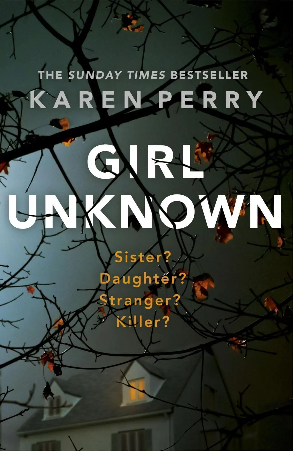 Cover: 9781405920308 | Girl Unknown | Karen Perry | Taschenbuch | 378 S. | Englisch | 2016