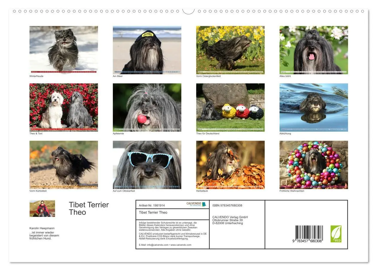 Bild: 9783457680308 | Tibet Terrier Theo (hochwertiger Premium Wandkalender 2026 DIN A2...