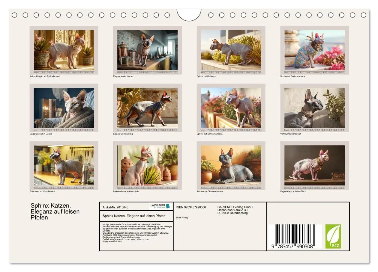 Bild: 9783457990308 | Sphinx Katzen. Eleganz auf leisen Pfoten (Wandkalender 2026 DIN A4...