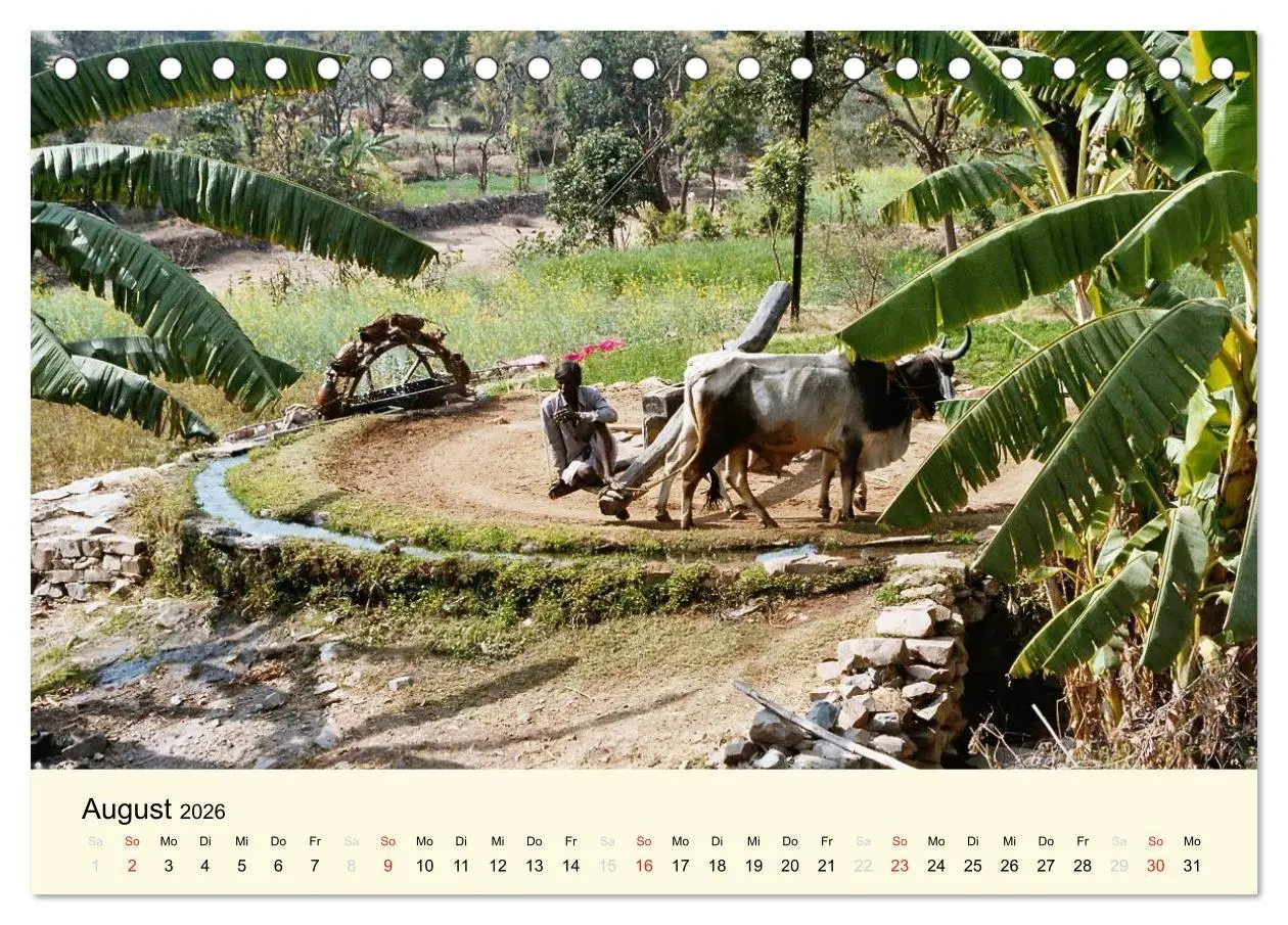 Bild: 9783516220308 | Alltagsleben in Indien (Tischkalender 2026 DIN A5 quer), CALVENDO...