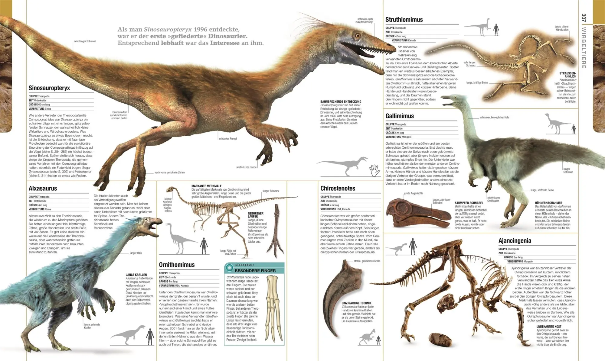 Bild: 9783831040308 | Dinosaurier und andere Lebewesen der Urzeit | Barry A. Thomas | Buch