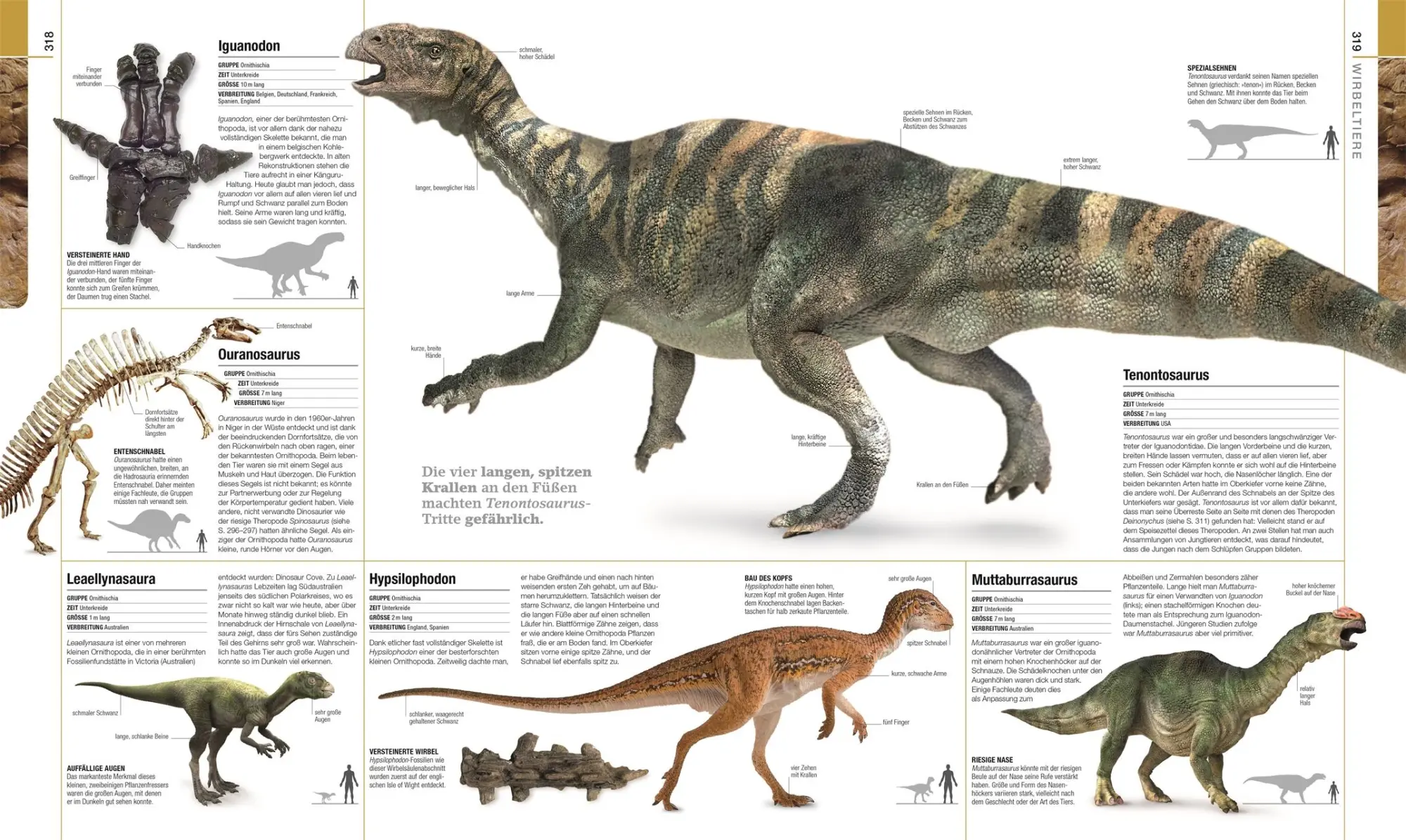 Bild: 9783831040308 | Dinosaurier und andere Lebewesen der Urzeit | Barry A. Thomas | Buch