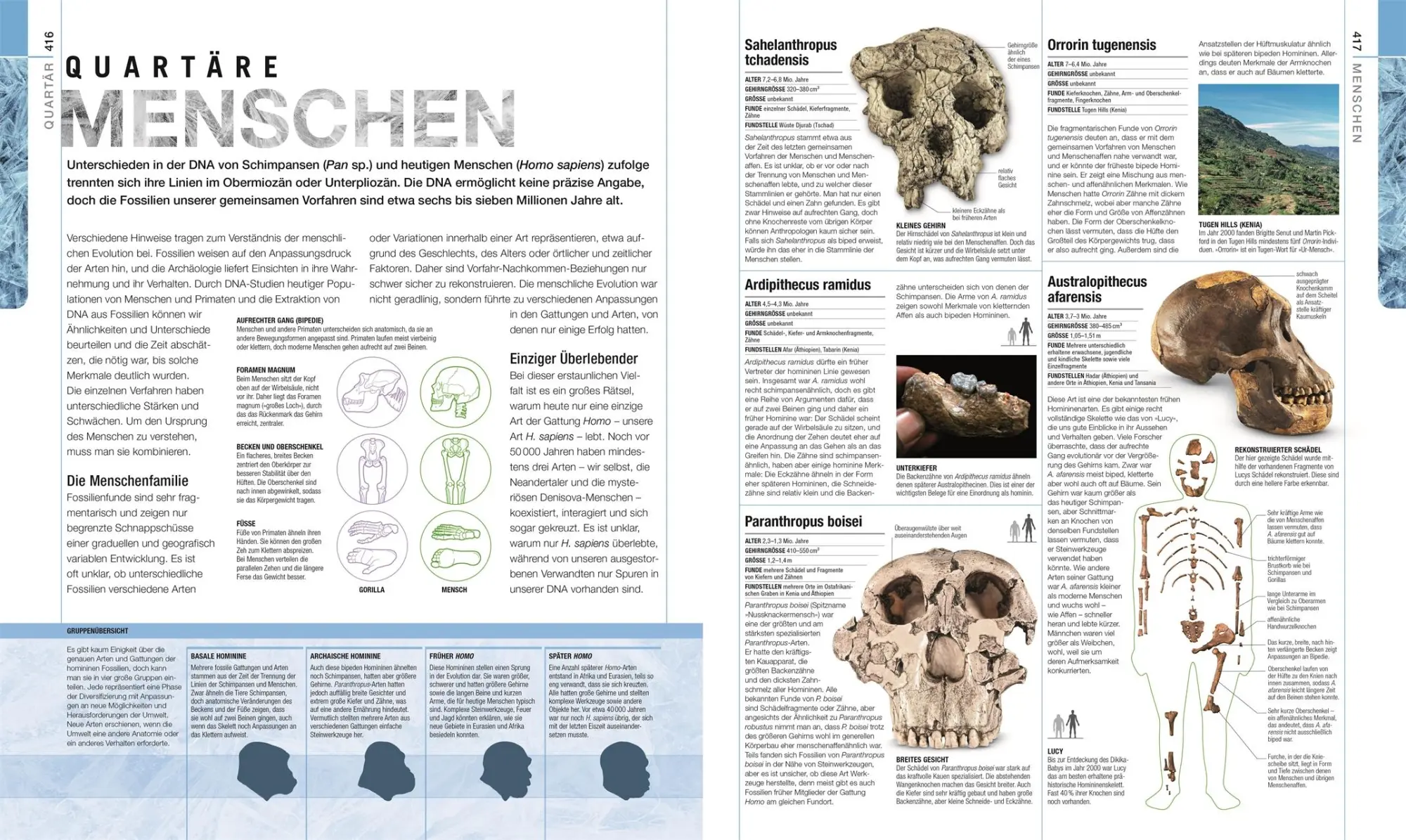 Bild: 9783831040308 | Dinosaurier und andere Lebewesen der Urzeit | Barry A. Thomas | Buch