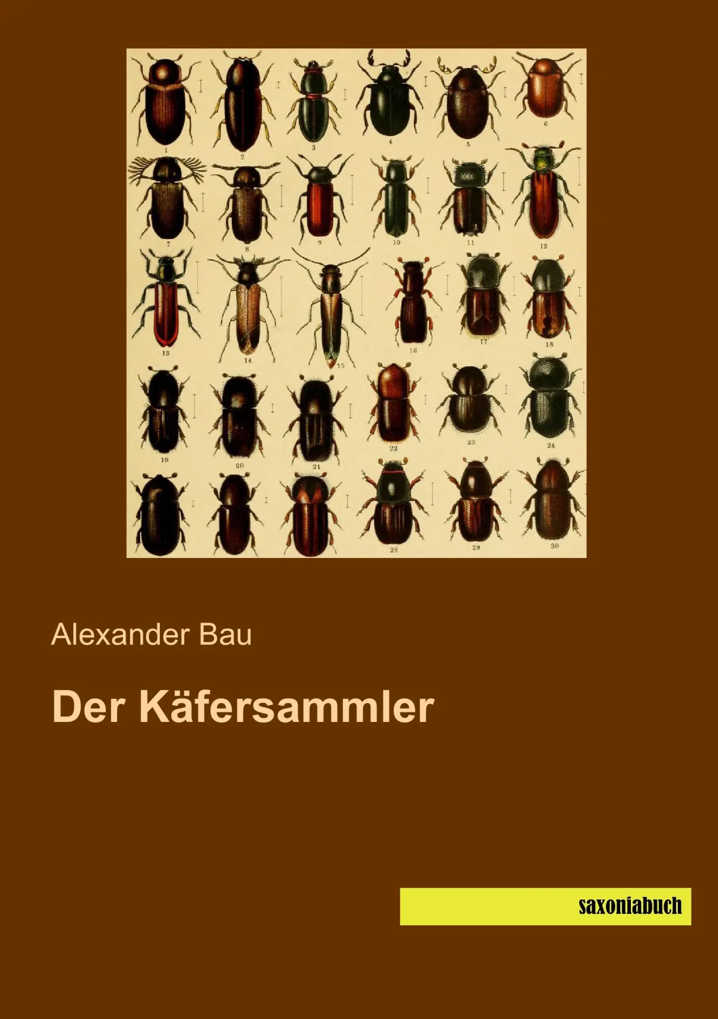Cover: 9783957700308 | Der Käfersammler | Alexander Bau | Taschenbuch | 116 S. | Deutsch