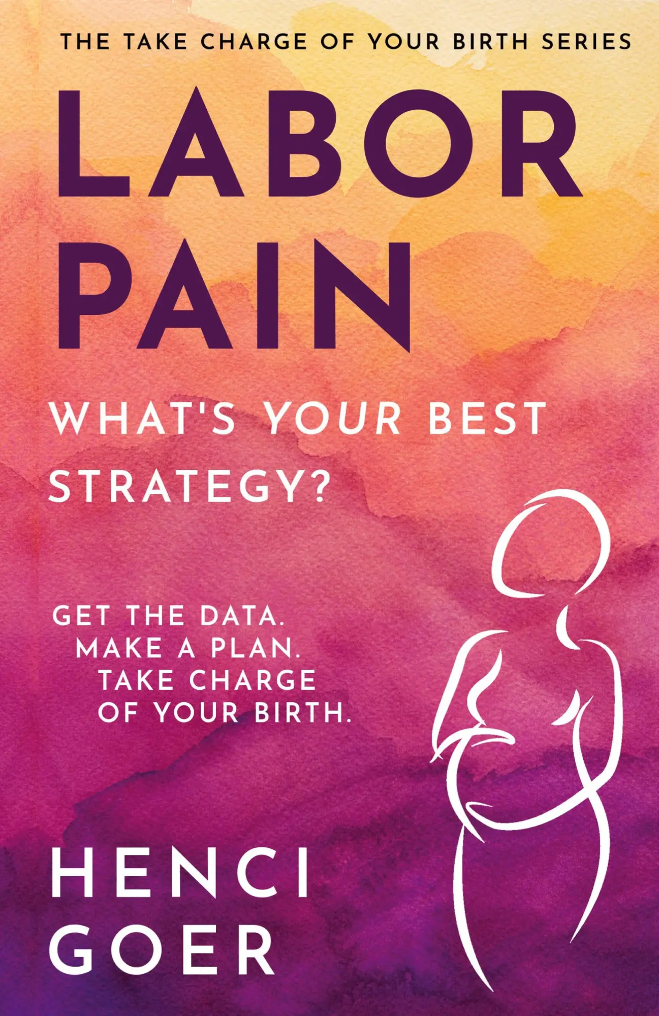 Cover: 9798986380308 | Labor Pain | Henci Goer | Taschenbuch | Englisch | 2023 | S PRESS