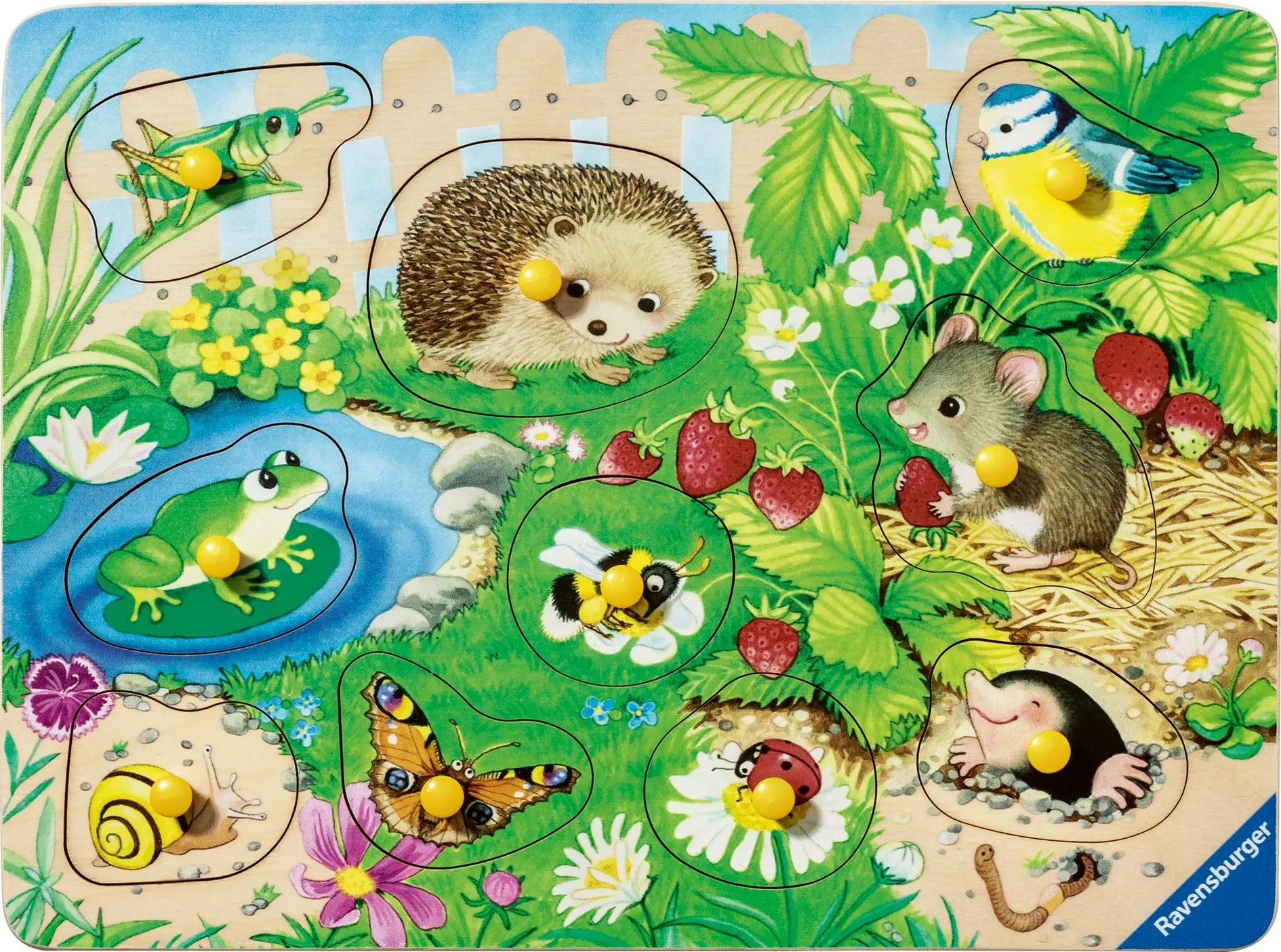 Cover: 4005555040408 | Kinderpuzzle 10 Teile - Meine Gartenfreunde | Spiel | 12004040 | 2025