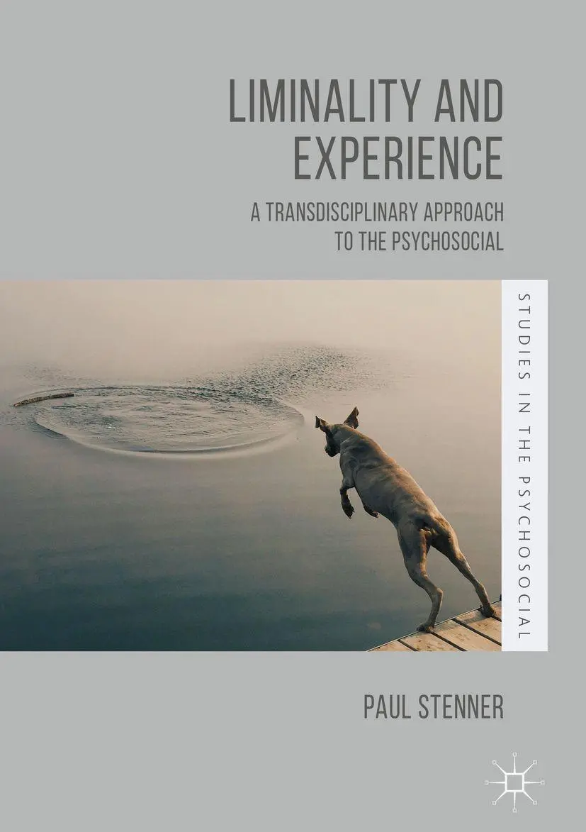 Cover: 9781349960408 | Liminality and Experience | Paul Stenner | Taschenbuch | ix | Englisch