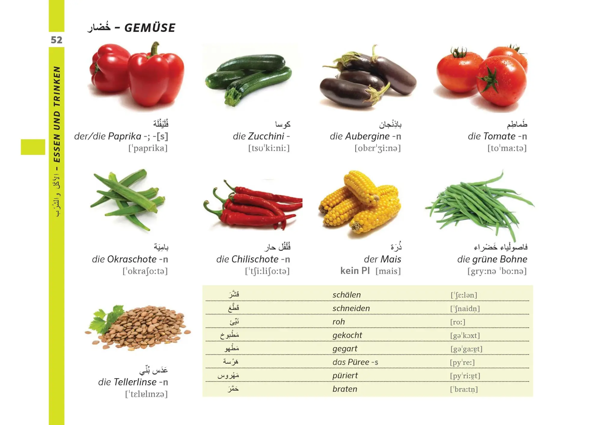 Bild: 9783125160408 | PONS Bildwörterbuch Deutsch, Ausgangssprache Arabisch | Taschenbuch