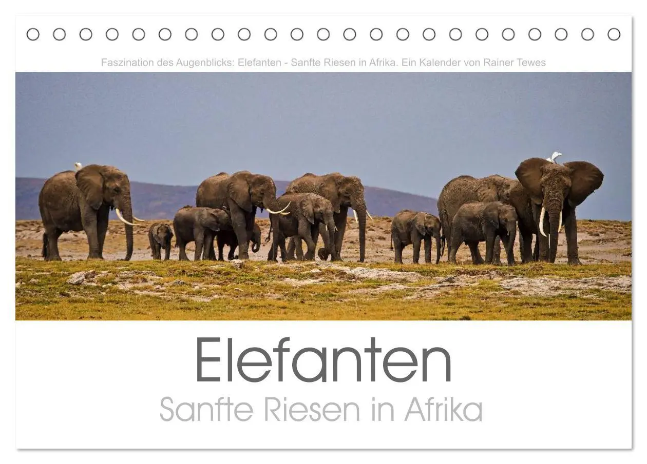 Cover: 9783457980408 | Elefanten - Sanfte Riesen in Afrika (Tischkalender 2026 DIN A5...